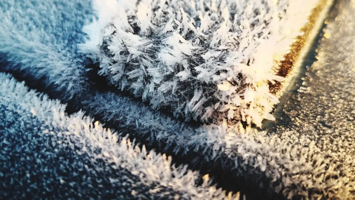 Tvätta mattan i snön – så gör du enkelt! illustration