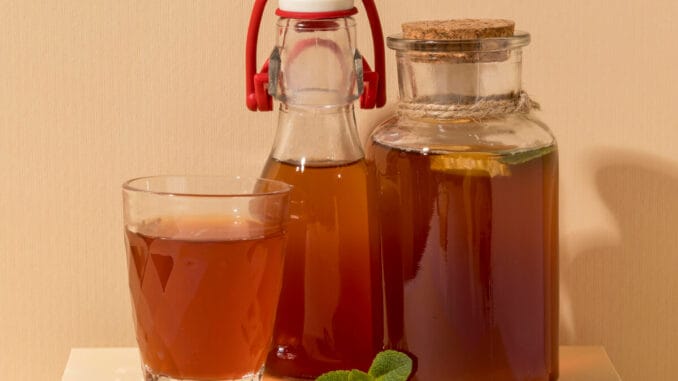 Gör din egen kombucha hemma