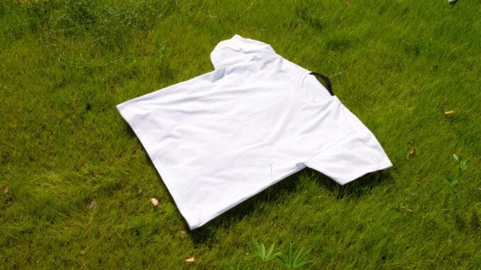 Så här blir du av med gräsfläckar enkelt! illustration