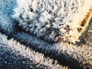 Tvätta mattan i snön – så gör du enkelt! illustration
